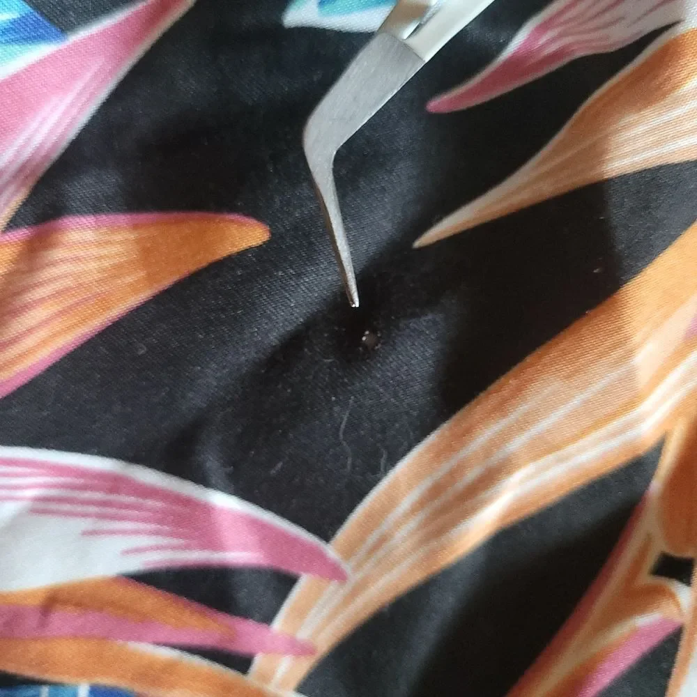 Reef Men's Floral Birds of Paradise Print Board Shorts Size 32